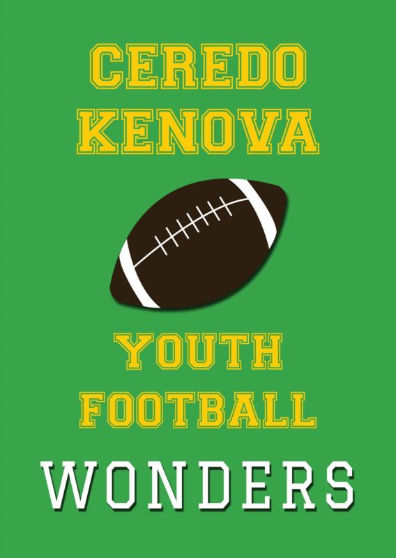 Buy Ceredo Kenova Wonders Football House Flag