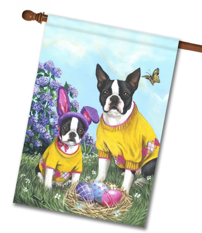 Boston Terrier Easter Bunny   HOUSE
