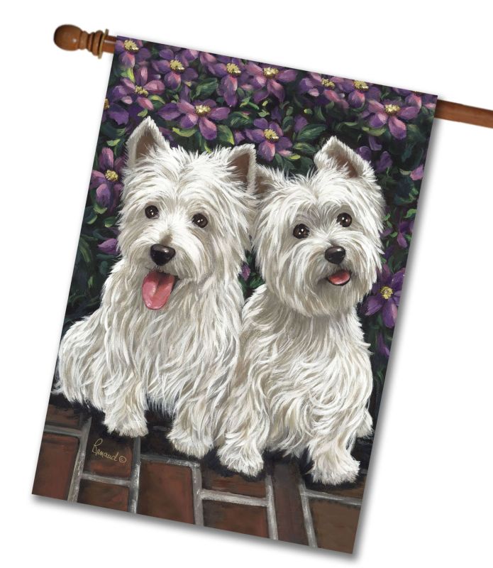 West Highland Terrier Molly Glennie HOUSE