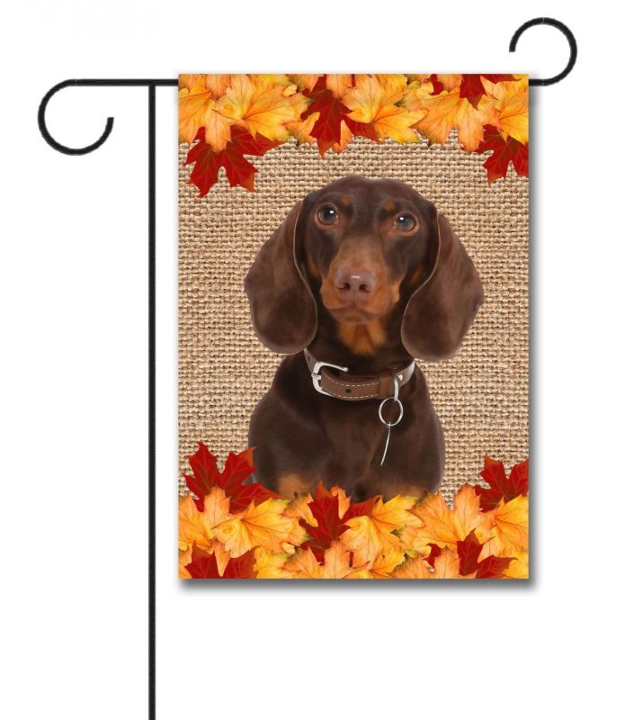 Buy Fall Leaves Brown Short Haired Dachshund Garden Flag