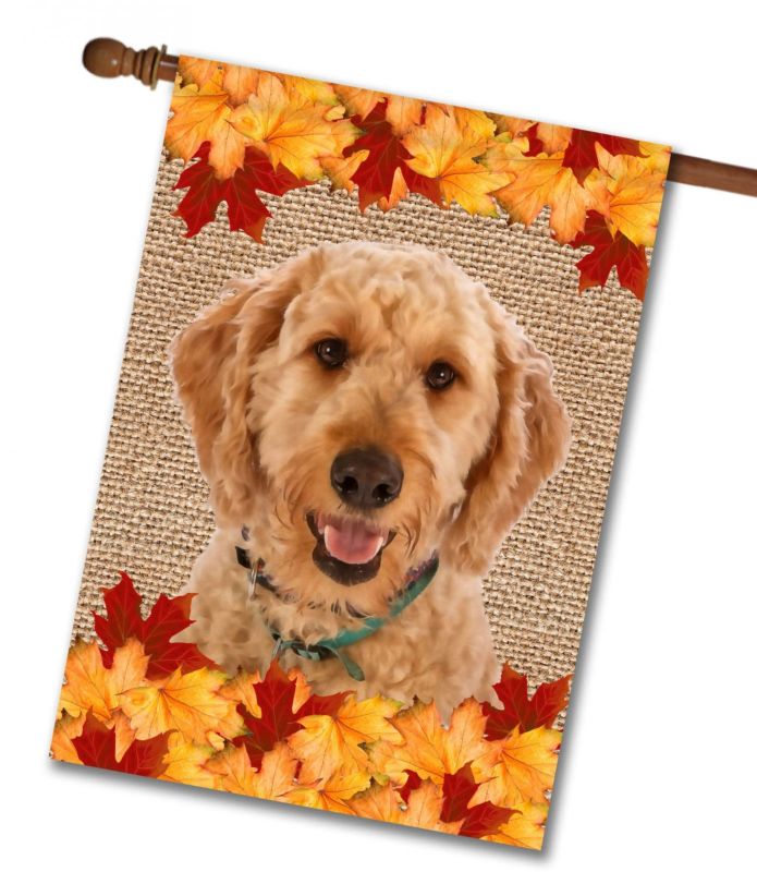 tesori dell' Caroline CK1819CHF Fall Leaves White Collie