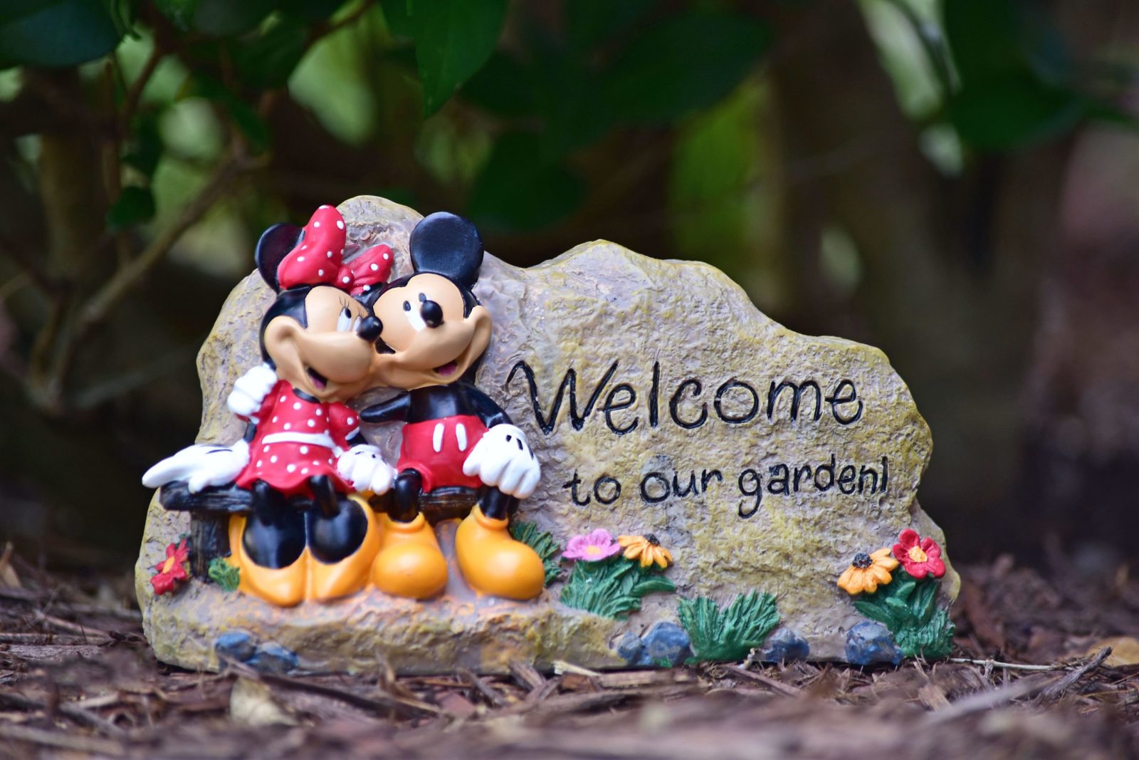 Buy Mickey and Minnie to Our Garden Spring
