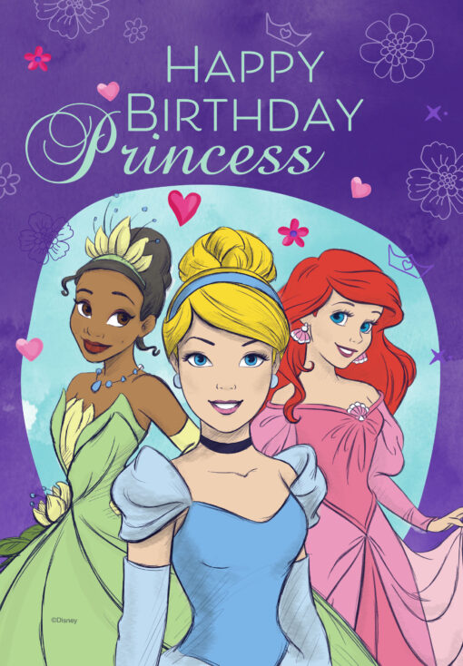 Disney Princesses Garden Flags House Flags Doormats