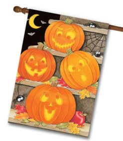 DS4272 Silly Pumpkins Halloween House Flag